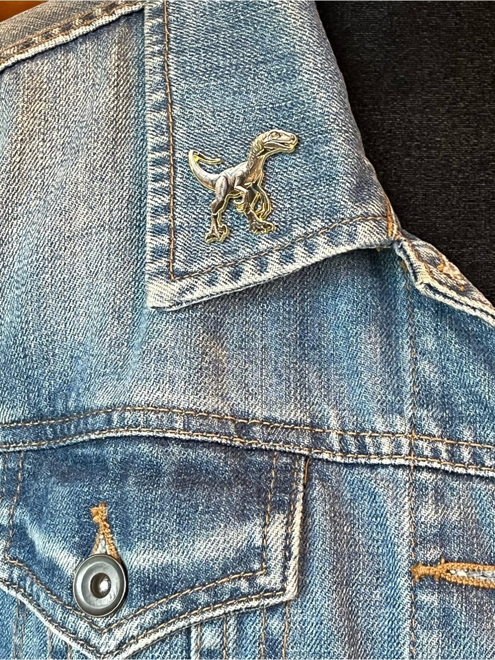 Boutique Bundle: 4 Detailed Jurassic Dinosaur Enamel Lapel Pins - Picture 8 of 13
